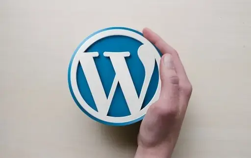 How to Develop Websites in WordPress